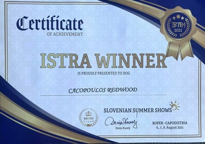 CACOPOULOS REDWOOD ISTRA WINNER