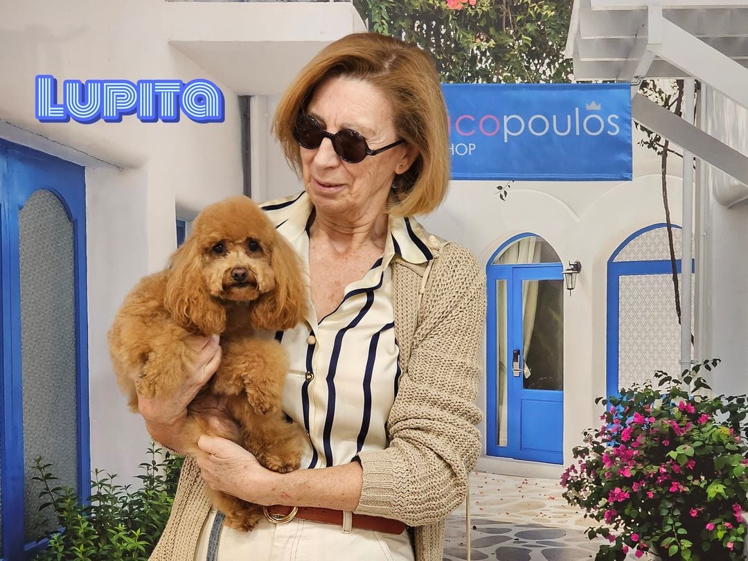 410454193_764087309067074_630806989624586336_n