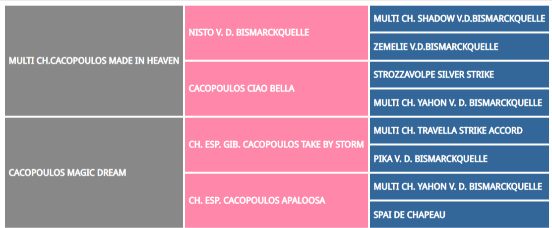 Cacopoulos-Don-Pirolo-Cacopoulos