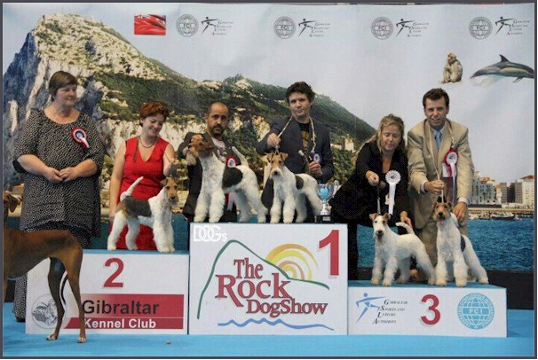 02-MEJOR LOTE DE CRIA GIBRALTAR