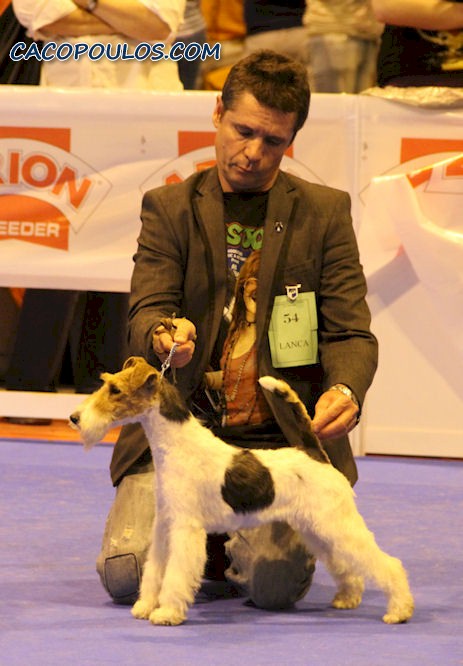 10-CACOPOULOS FIORELLA1