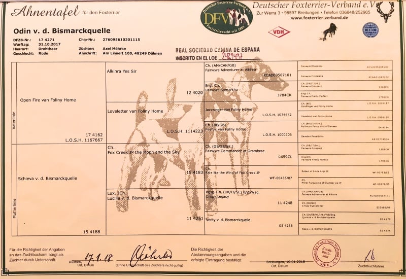 3-pedigree odin