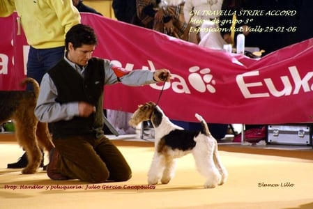 08harryvalls06