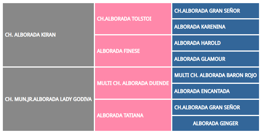 Alborada-Thor-Cacopoulos