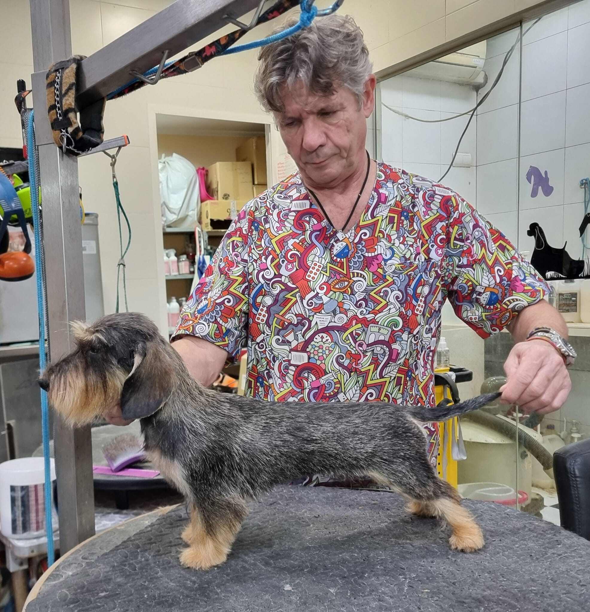 STRIPPING BY CACOPOULOS