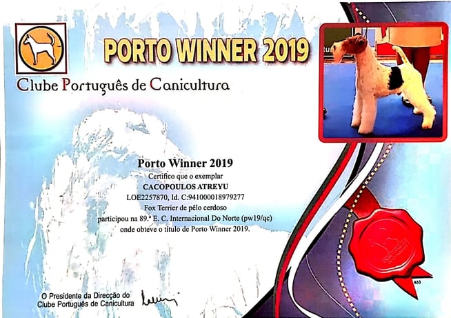 atreyu porto winner 2019