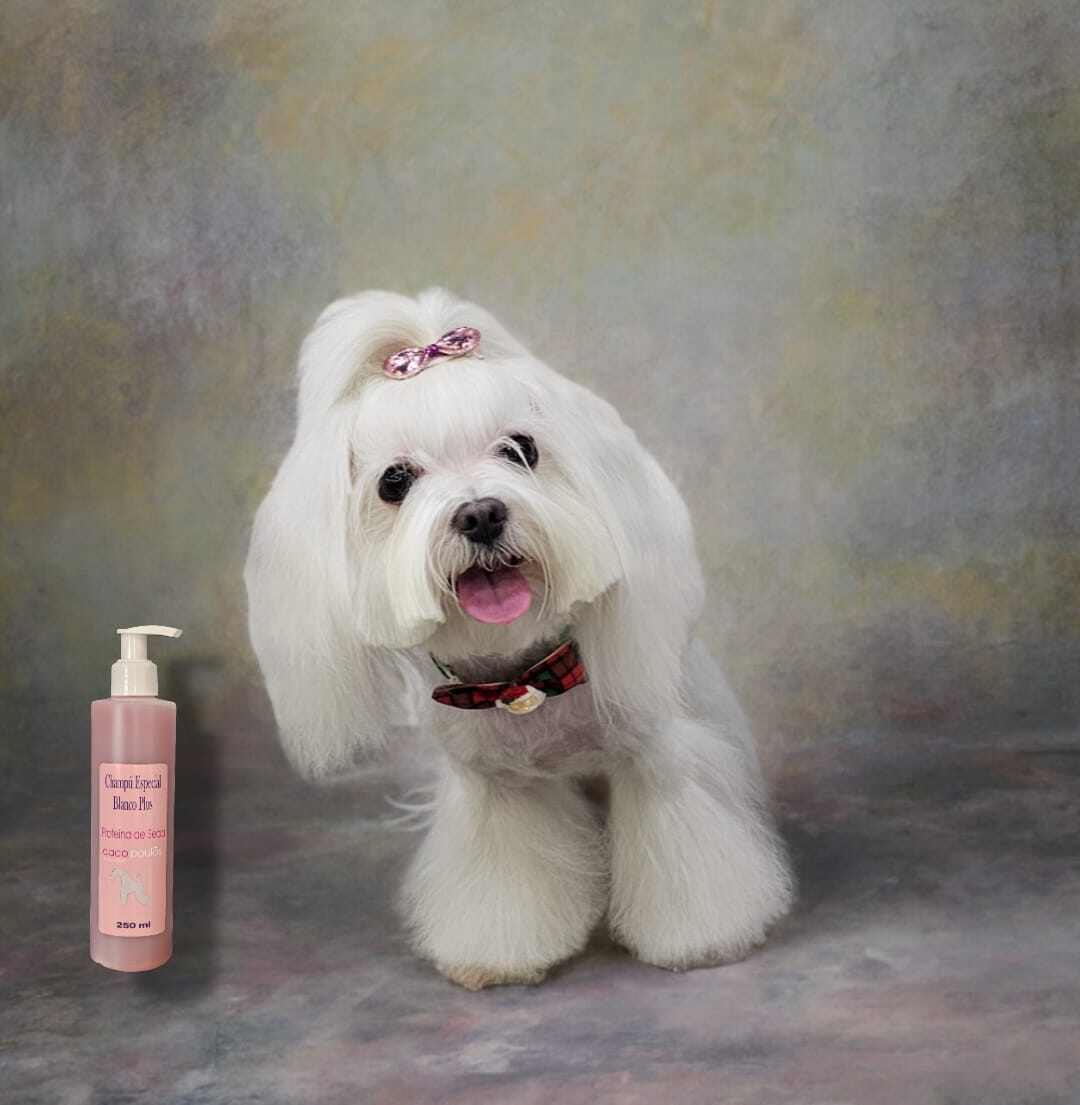 maltes lavado con champu cacopoulos