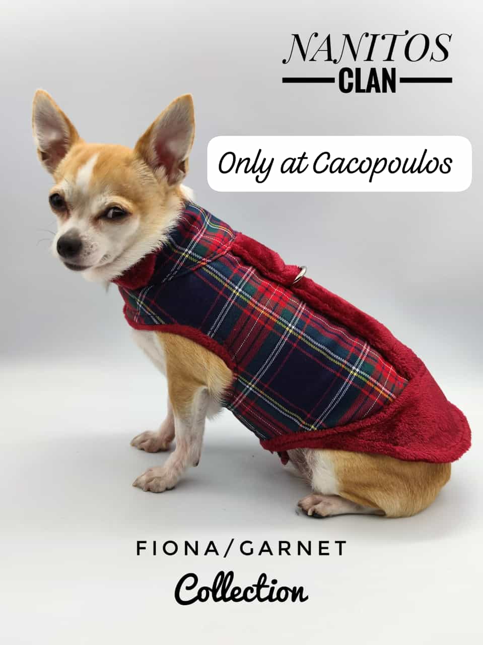 ropa para perros nanitos clan-1